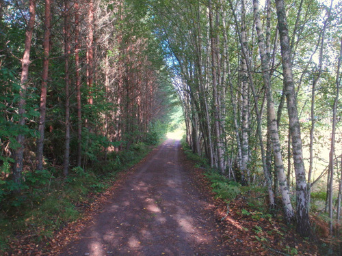 The road becomes very remote and we wonder if we are on track.